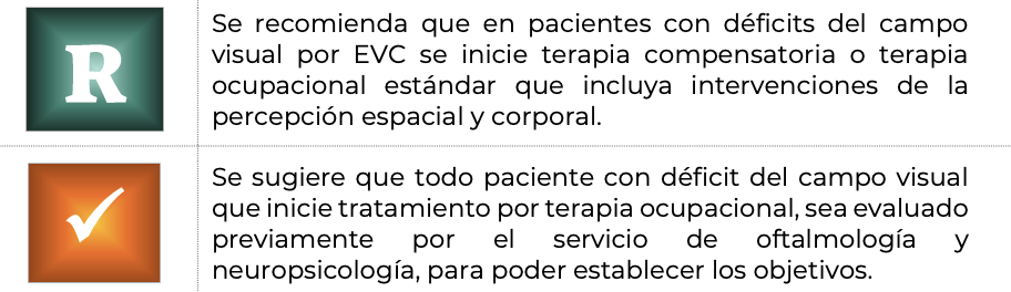 18. Terapia ocupacional 8 - GPC-DIF-331-21
